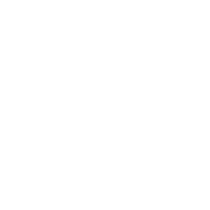 Made in NY